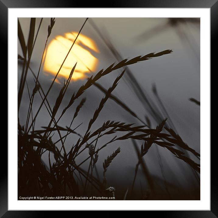Barley Dawn Framed Mounted Print by Creative Photography Wales