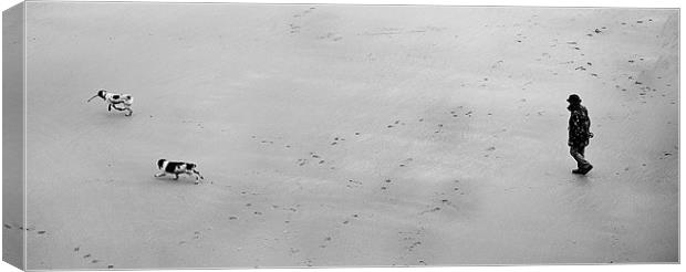Walking the dogs on Beach Canvas Print by Simon West