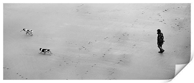 Walking the dogs on Beach Print by Simon West