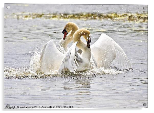 Dancing Swans Acrylic by Martin Kemp Wildlife