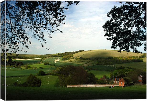North Wessex Downs, Berkshire, England, UK Canvas Print by Mark Llewellyn