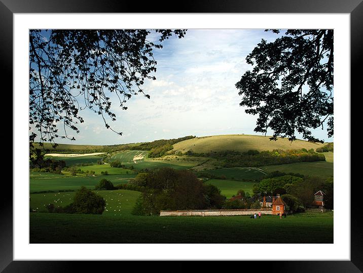 North Wessex Downs, Berkshire, England, UK Framed Mounted Print by Mark Llewellyn