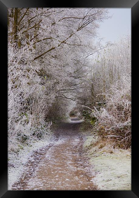 frosty woodland pathway Framed Print by Dawn Cox
