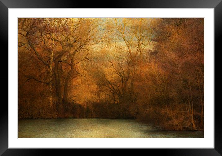 Sitting by the lake Framed Mounted Print by Dawn Cox