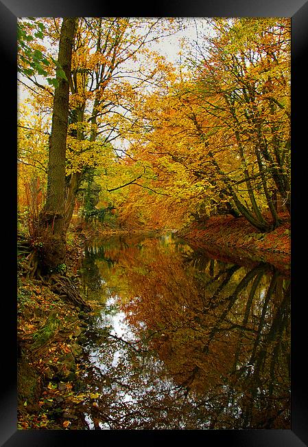 Autumn Colours,River Derwent,Matlock Framed Print by Darren Galpin