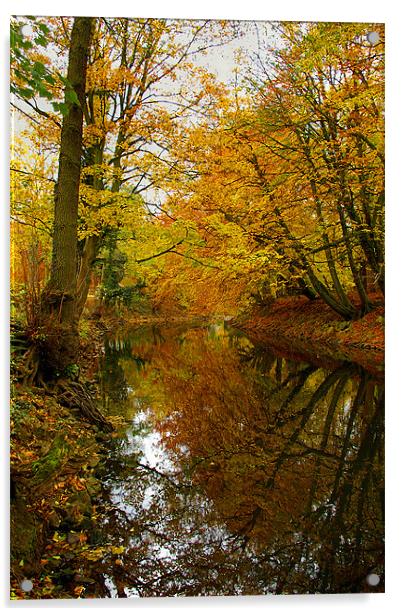 Autumn Colours,River Derwent,Matlock Acrylic by Darren Galpin