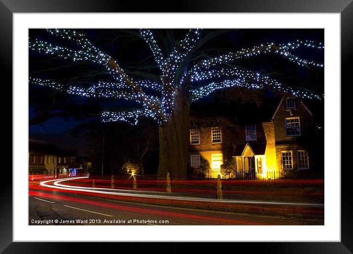 The Magical Tree Framed Mounted Print by James Ward