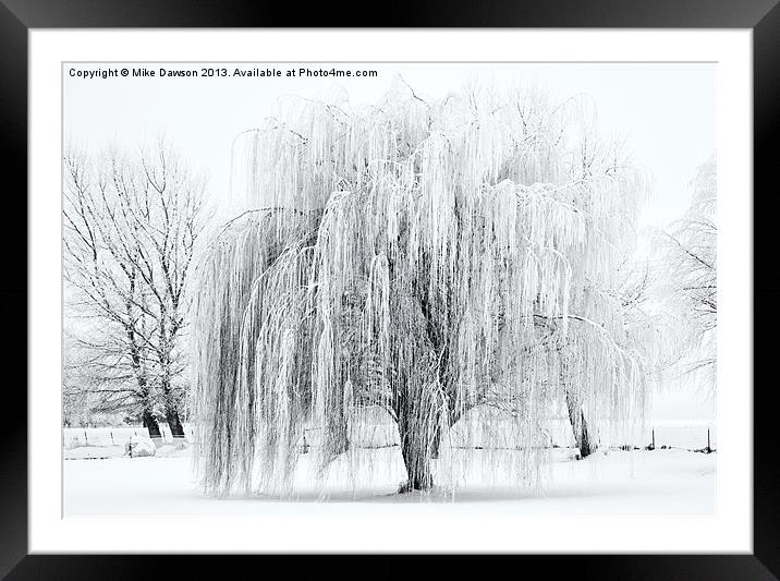 Winter Willow Framed Mounted Print by Mike Dawson