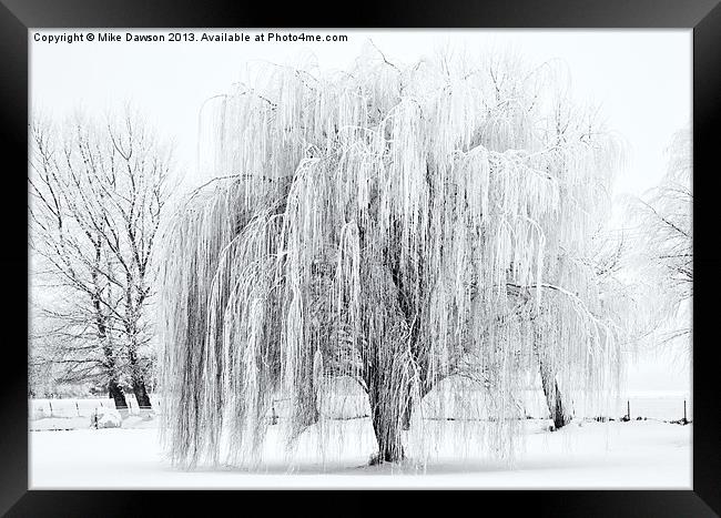 Winter Willow Framed Print by Mike Dawson