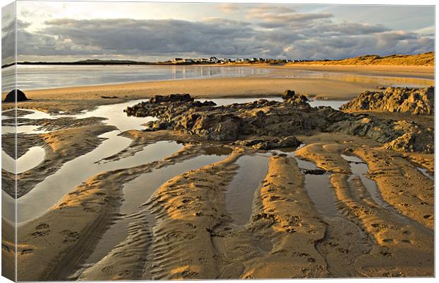 Golden Sands Canvas Print by Simone Williams