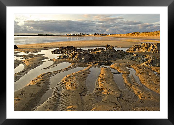 Golden Sands Framed Mounted Print by Simone Williams