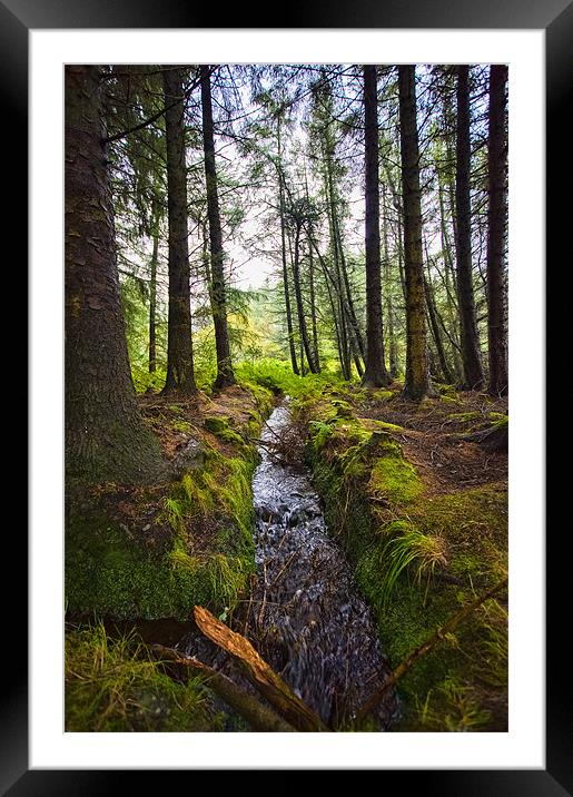 Scottish Woodland Stream Framed Mounted Print by Mark Llewellyn