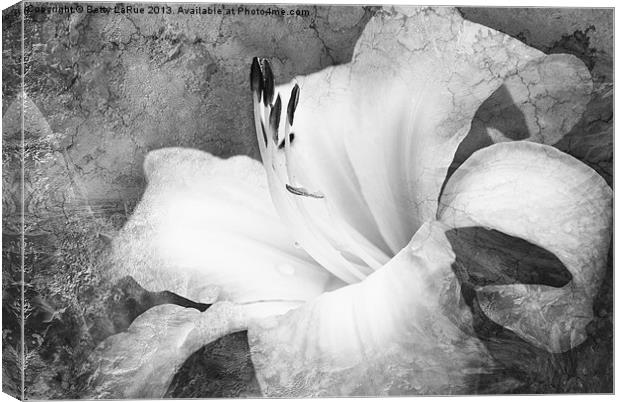 Softly Singing in Black and White Canvas Print by Betty LaRue