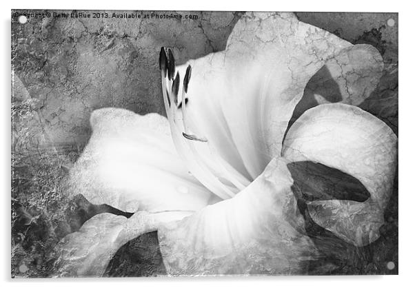Softly Singing in Black and White Acrylic by Betty LaRue