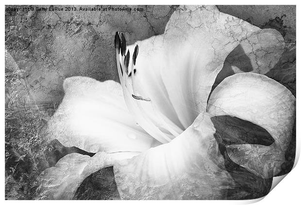 Softly Singing in Black and White Print by Betty LaRue