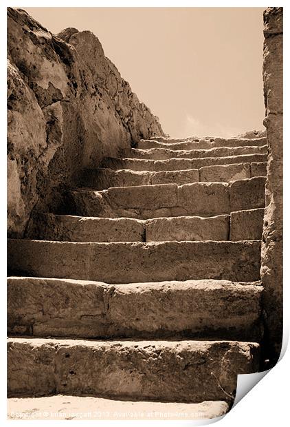 The Old steps Print by Brian  Raggatt