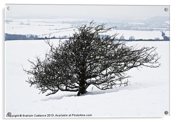 Winter Tree Acrylic by Graham Custance