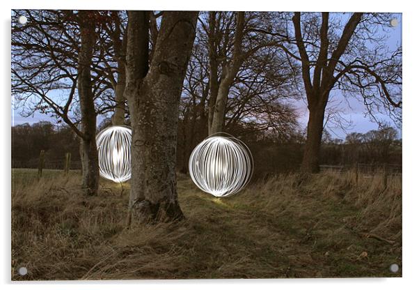 Down in the Woods Acrylic by Gavin Wilson