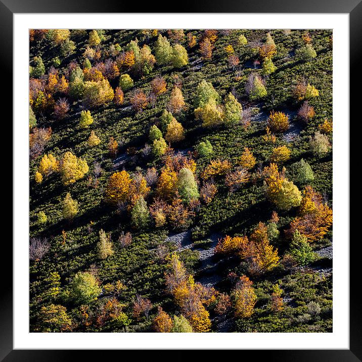 Autumn Patchwork Framed Mounted Print by Judy Andrews