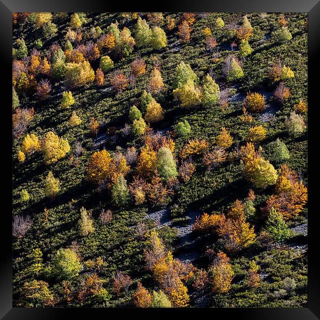 Autumn Patchwork Framed Print by Judy Andrews