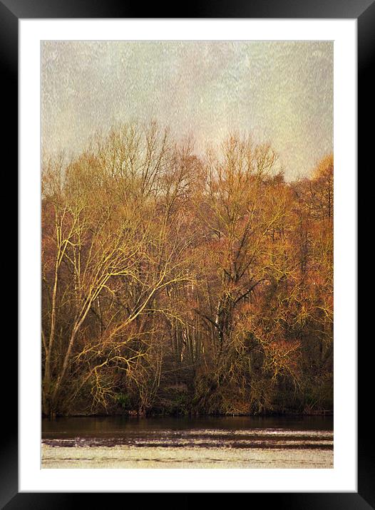 Across the lake Framed Mounted Print by Dawn Cox