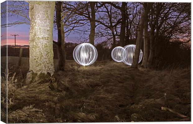 Woodland lights Canvas Print by Gavin Wilson
