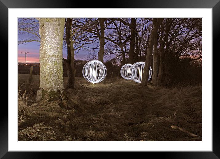 Woodland lights Framed Mounted Print by Gavin Wilson
