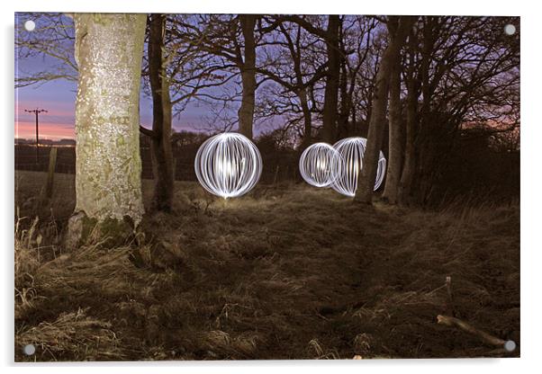 Woodland lights Acrylic by Gavin Wilson