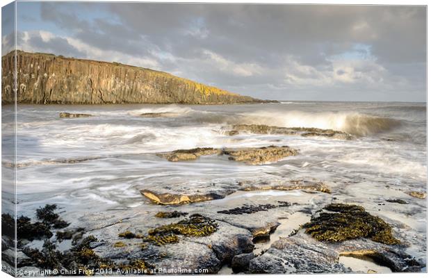 Cullernose Bay Canvas Print by Chris Frost