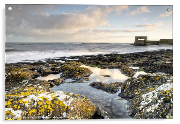 Craster Harbour Rock Pools Acrylic by Chris Frost