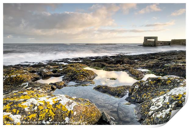 Craster Harbour Rock Pools Print by Chris Frost