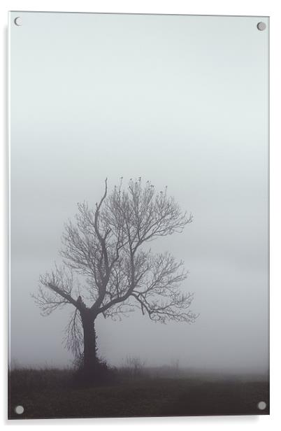 Winter Mist Acrylic by Darren Burroughs