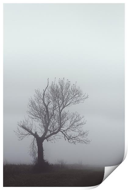 Winter Mist Print by Darren Burroughs