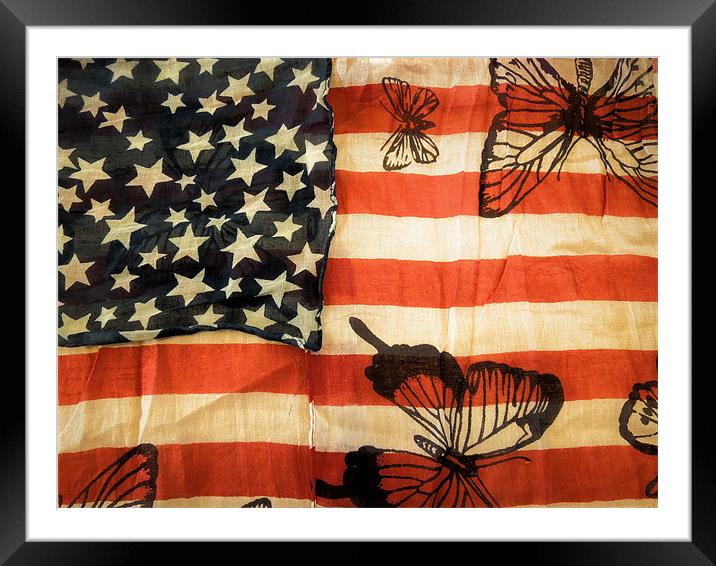 stars, stripes and butterflies Framed Mounted Print by Heather Newton