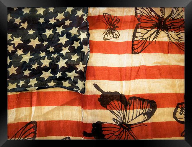 stars, stripes and butterflies Framed Print by Heather Newton