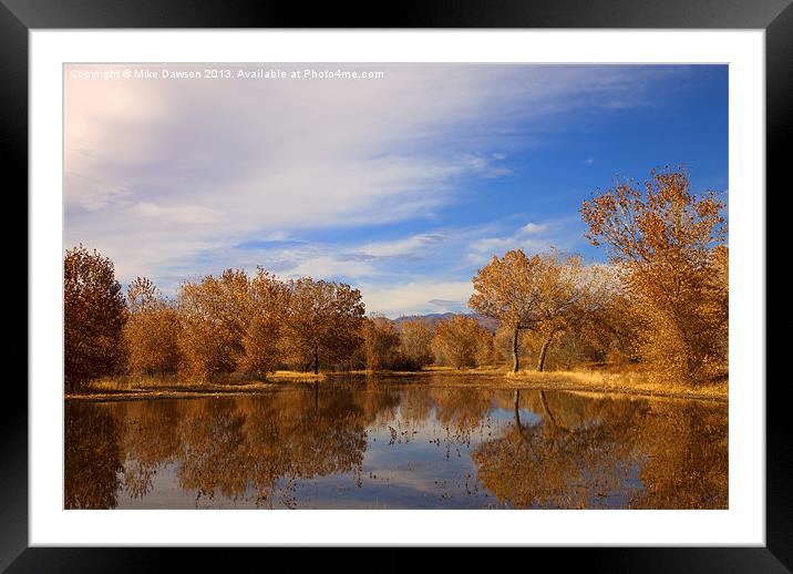 Bosque Del Apache Reflections Framed Mounted Print by Mike Dawson