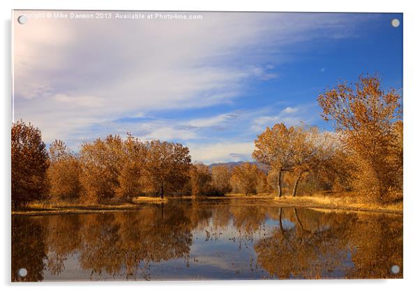 Bosque Del Apache Reflections Acrylic by Mike Dawson