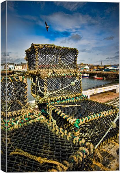 Arbroath Harbour, Scotland, UK Canvas Print by Mark Llewellyn