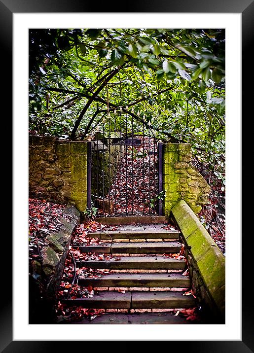 Llandaff Cathedral Steps, Cardiff, Wales, UK Framed Mounted Print by Mark Llewellyn