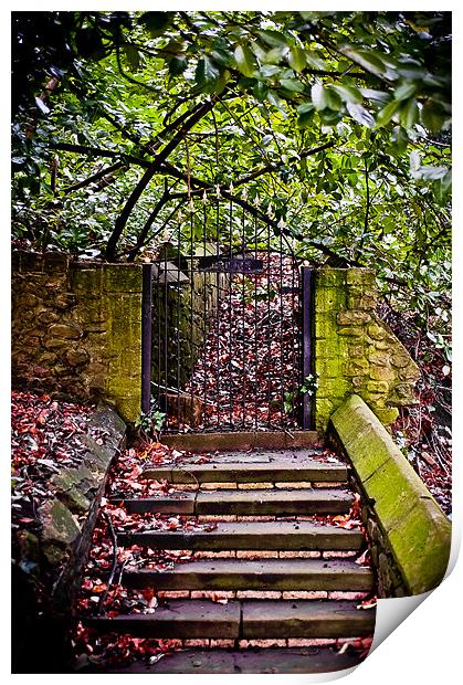 Llandaff Cathedral Steps, Cardiff, Wales, UK Print by Mark Llewellyn