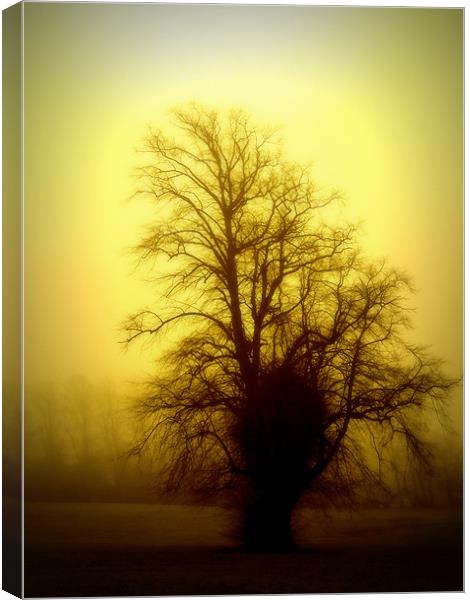 one foggy day Canvas Print by dale rys (LP)