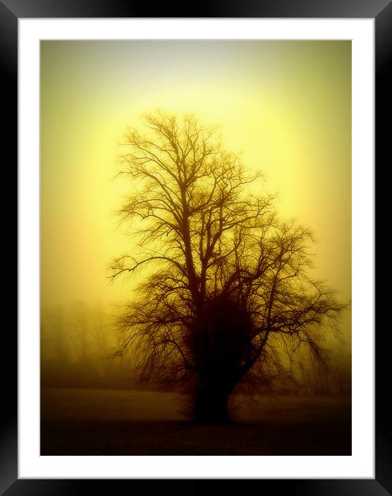 one foggy day Framed Mounted Print by dale rys (LP)