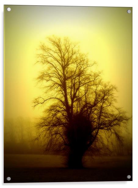 one foggy day Acrylic by dale rys (LP)