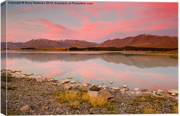 Pink Reflections Canvas Print by Barry Newman