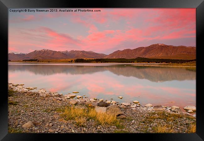 Pink Reflections Framed Print by Barry Newman