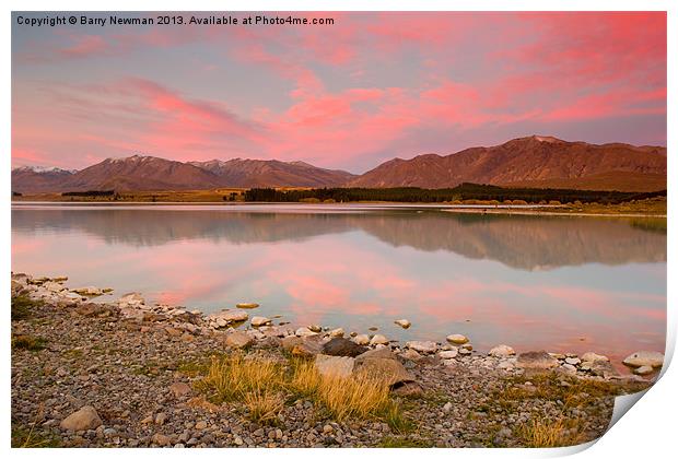 Pink Reflections Print by Barry Newman