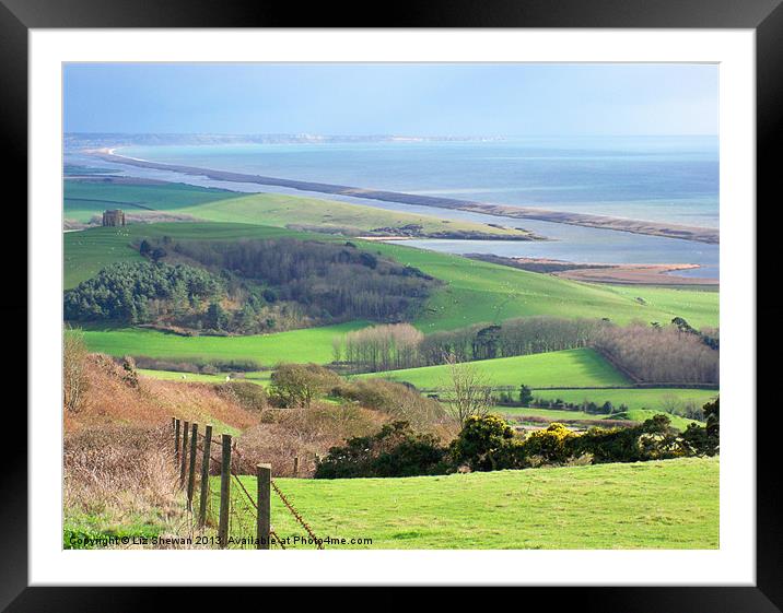 Abbotsbury Coastal Views Framed Mounted Print by Liz Shewan