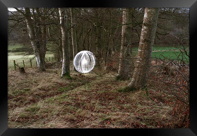 Orb in the woods Framed Print by Gavin Wilson