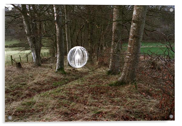 Orb in the woods Acrylic by Gavin Wilson