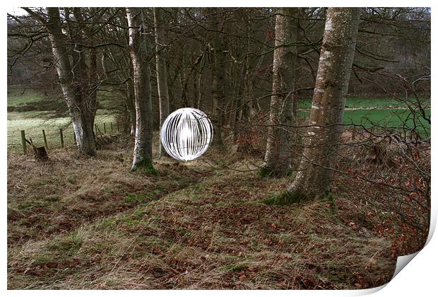 Orb in the woods Print by Gavin Wilson